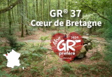GR37